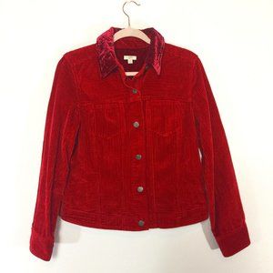 J Jill  Corduroy Velveteen Jacket Moto Style Small